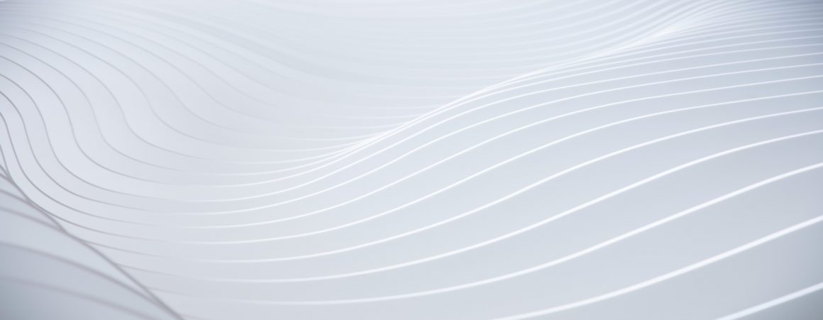 Newsletter December 2025