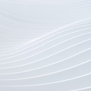 Newsletter December 2025