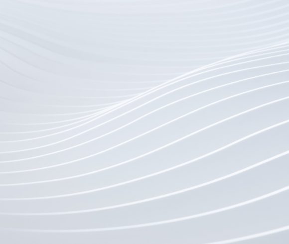 Newsletter December 2025